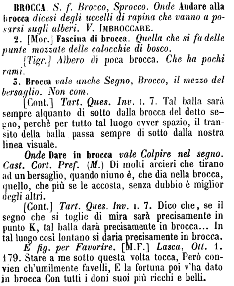 brocca-19347