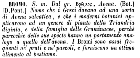 bromo-19421