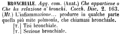 bronchiale