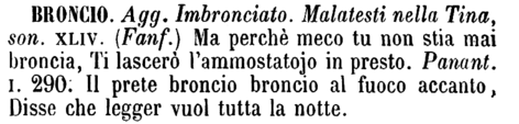 broncio-19431