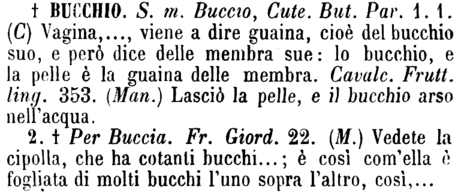 bucchio