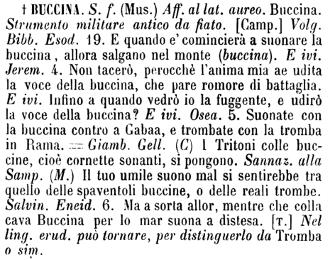 buccina