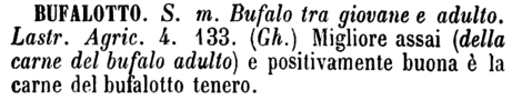 bufalotto