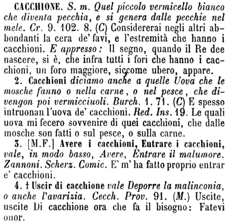 cacchione