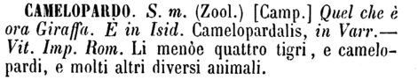 camelopardo