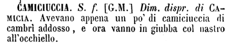 camiciuccia