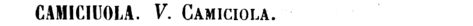 camiciuola