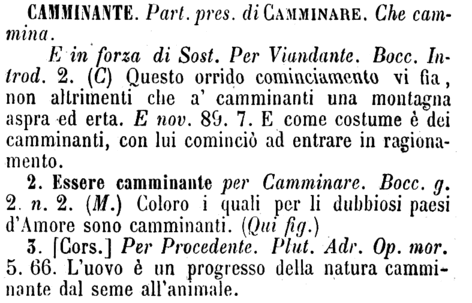 camminante