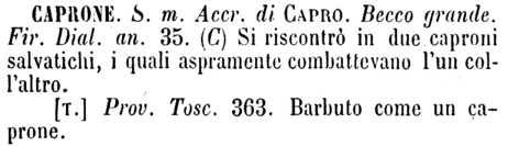 caprone