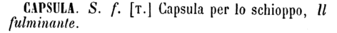 capsula