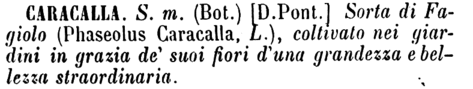 caracalla