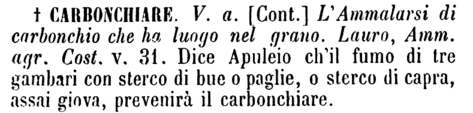 carbonchiare