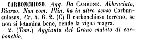 carbonchioso