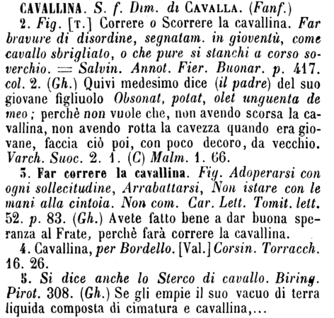cavallina