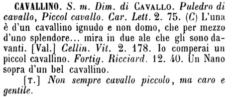cavallino