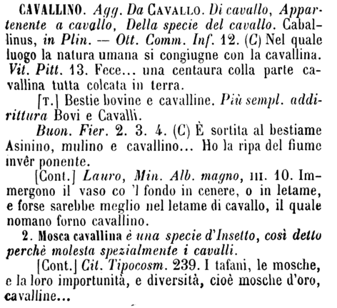 cavallino-23552