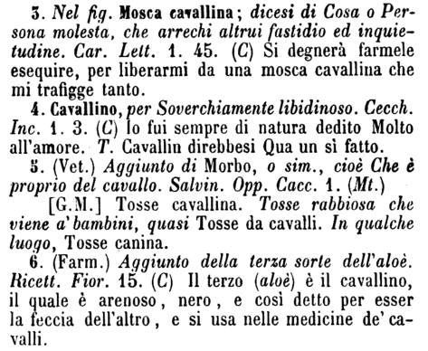 cavallino-23552