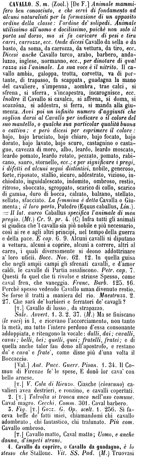 cavallo