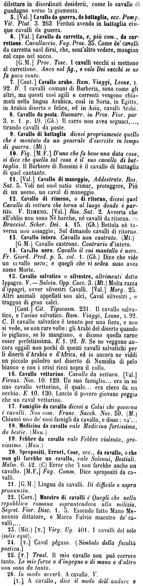cavallo