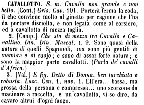 cavallotto
