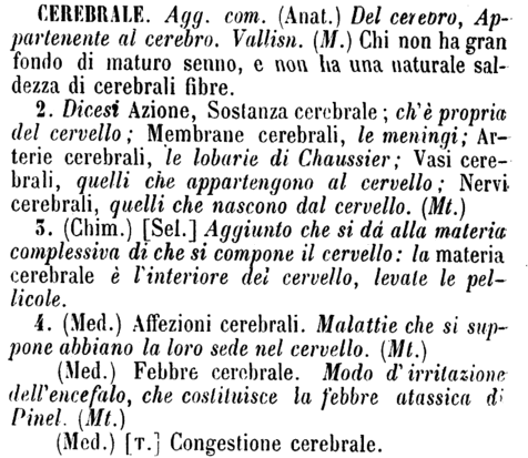 cerebrale