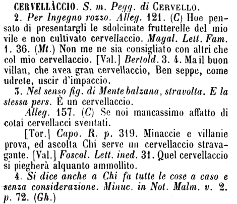 cervellaccio