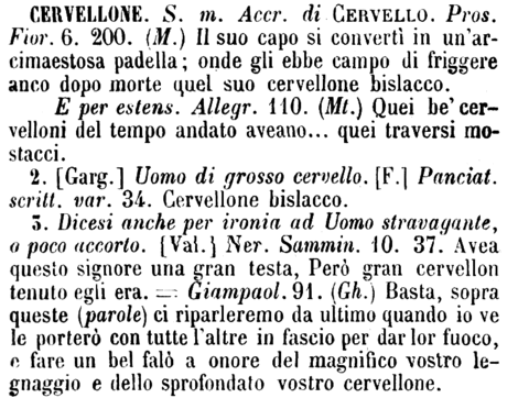 cervellone