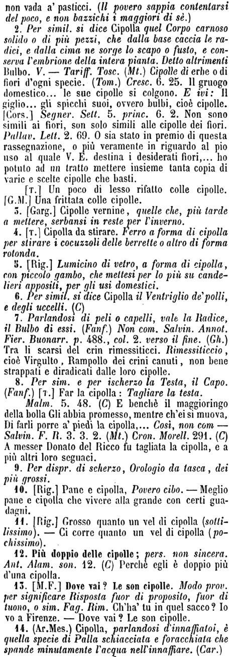 cipolla