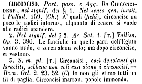 circonciso