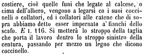 coccinello