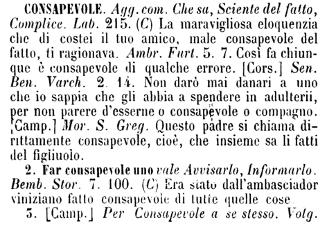 consapevole