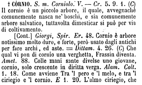 cornio