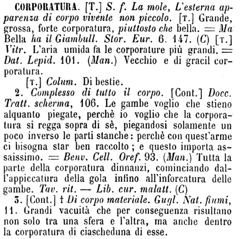 corporatura