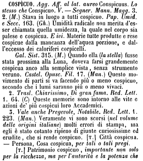 cospicuo