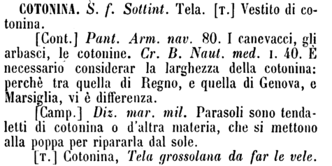 cotonina-31824