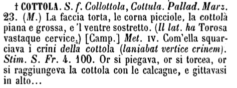 cottola