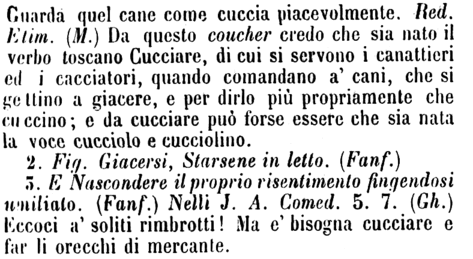 cucciare