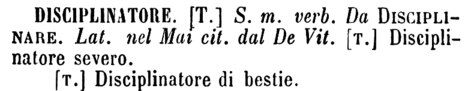 disciplinatore