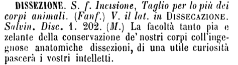 dissezione
