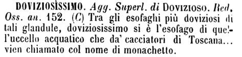 doviziosissimo