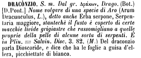 draconzio