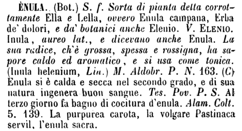 enula