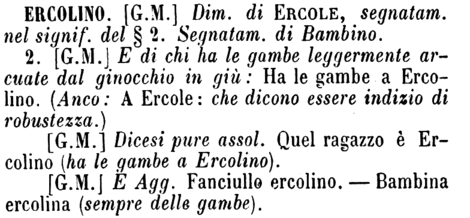 ercolino