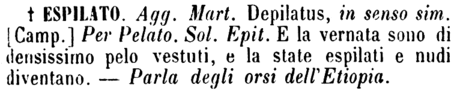espilato-43891