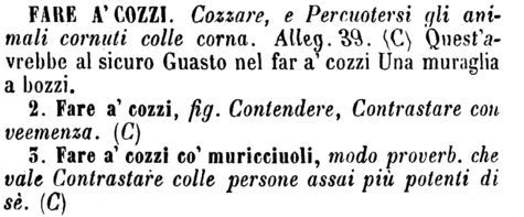 fare-a-cozzi