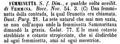 femminetta