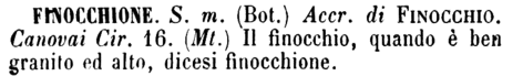 finocchione