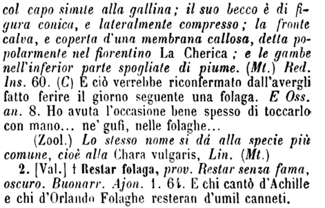 folaga