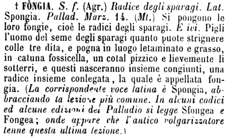 fongia