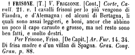 frisone